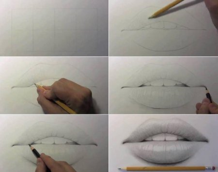 Рисунки по этапно для начинающих