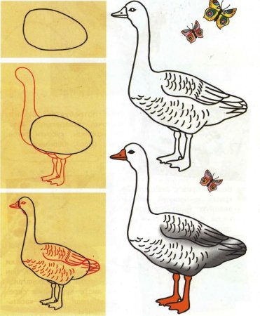 Как нарисовать гуся