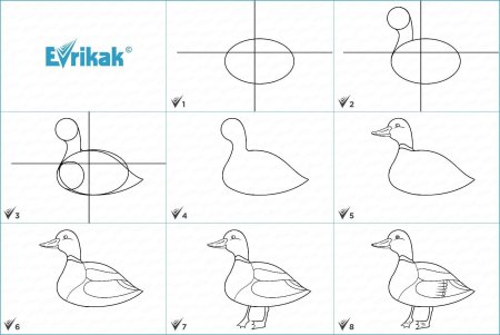 Как нарисовать чайку поэтапно