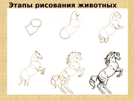 Уроки рисования рук