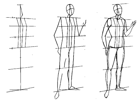 Построение фигуры человека пропорции