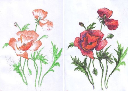 Этапы рисования пейзажа