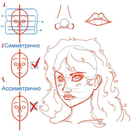 Схема рисования принцессы для детей