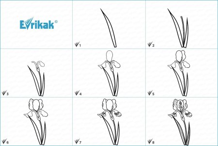 Как научить ребенка рисовать розу