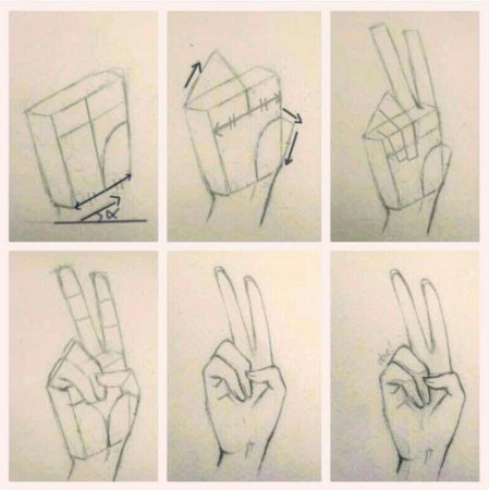 Поэтапный рисунок натюрморта карандашом