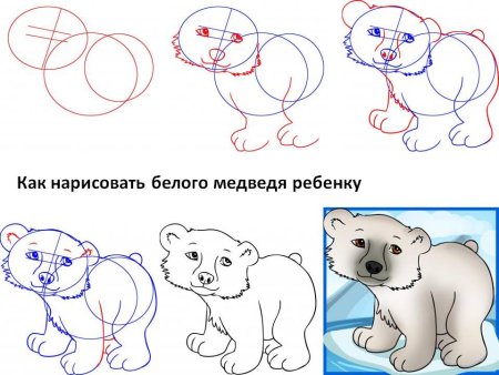 Как рисовать медведя