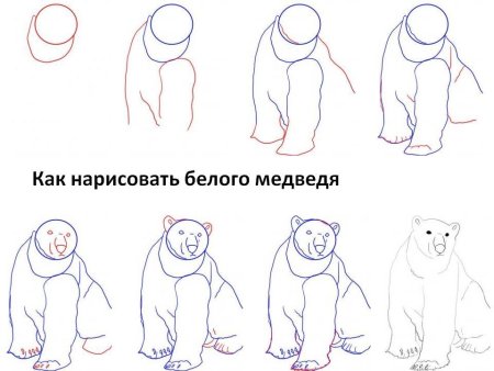 Этапы рисования мишки