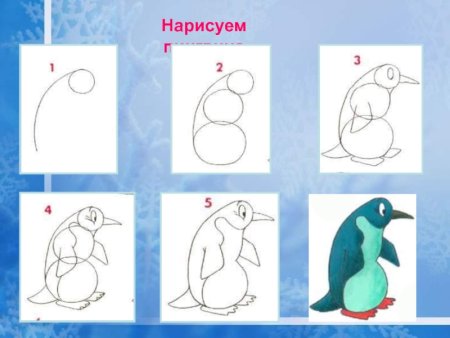 Пингвин пошаговое рисование