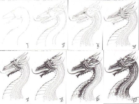 Рисунки по этапам дракон