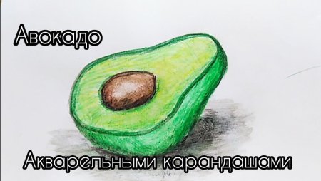 Как нарисовать авокадо поэтапно легко