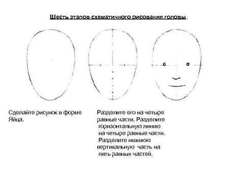 Этапы рисования гипсовой головы Дианы