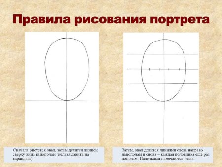 Построение лица в анфас схема