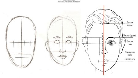 Этапы рисования лица