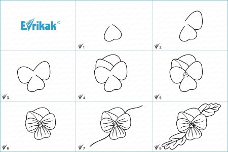 Поэтапное рисование фиалки для детей