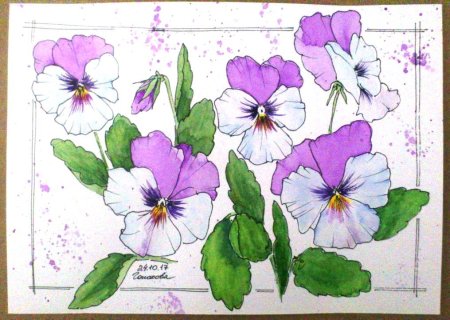 Цветок Виола контур