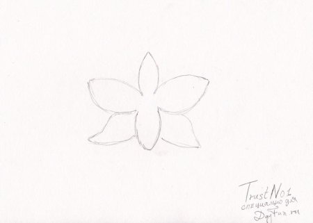 Пошаговое рисование цветы