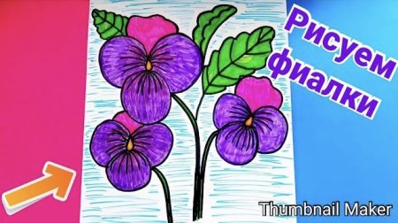 Раскраска фиалка в горшке