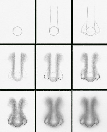 Поэтапные уроки рисования носа