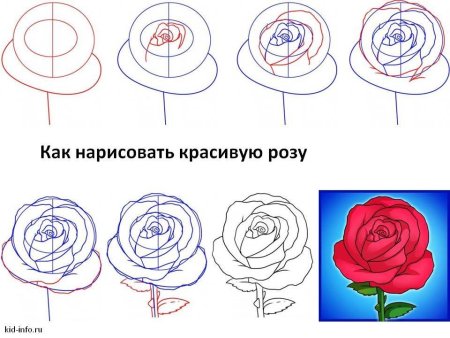 Винни пух нарисовать поэтапно