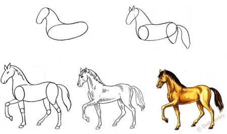 Нарисовать рисунок Сивка бурка поэтапно