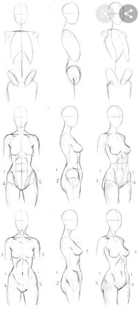 Пропорции тела человека рисунок