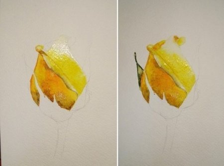 Этапы рисования акварелью