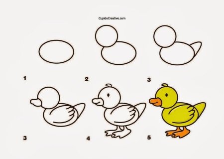 Поэтапное рисование для детей 6 лет