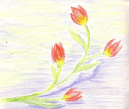 Рисование восковыми мелками тюльпаны для детей