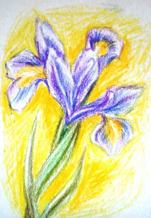 Рисование мелками на бумаге
