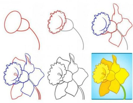Рисование карандашом для начинающих цветы