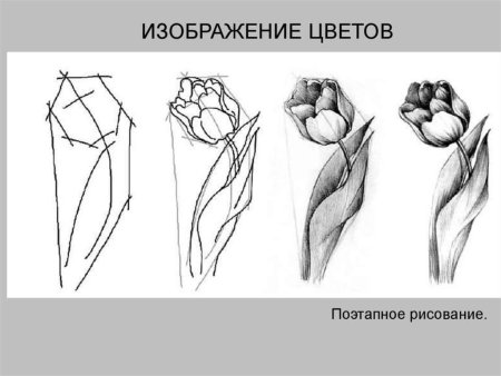 Схемы рисования цветов