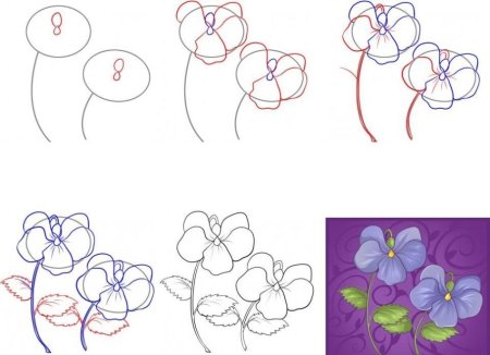 Поэтапное рисование цветы