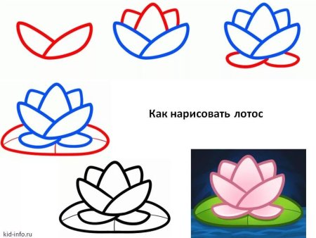 Поэтапное рисование цветы