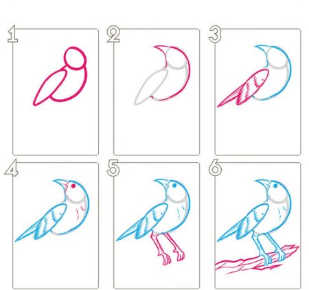 Рисование птиц