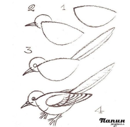 Лебедь карандашом