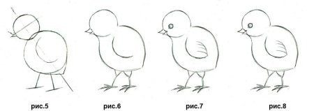 Поэтапное рисование снегиря 1 класс