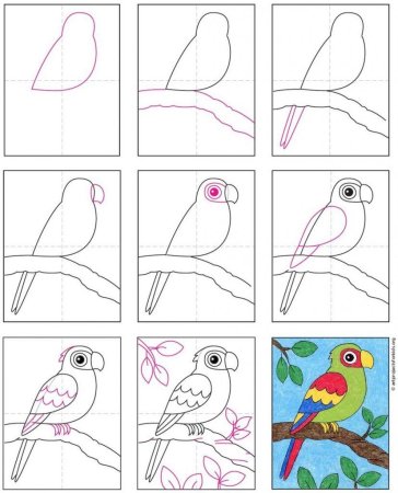 Рисование птиц для детей
