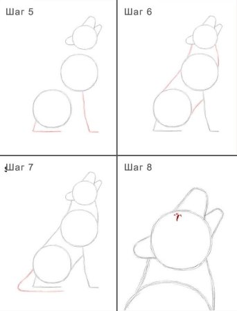 Как нарисовать волка Каран