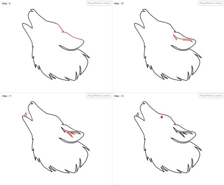 Поэтапное рисование морды волка