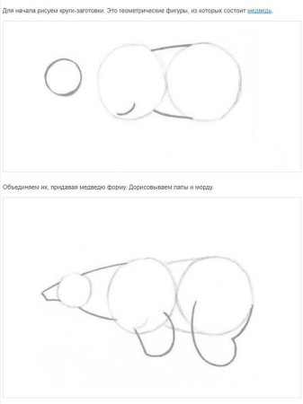Этапы рисования медведя