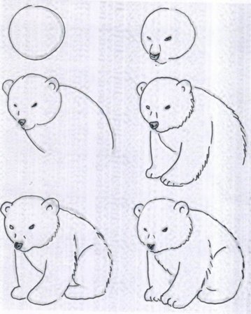 Как рисовать медведя