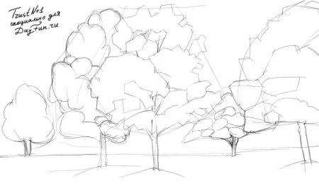 Рисунок осень простым карандашом