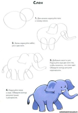 Как нарисовать слона
