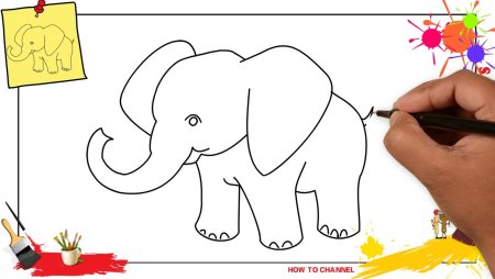 Схема рисования слона для детей 4-5 лет