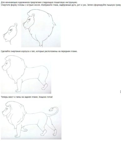 Как нарисовать Лева