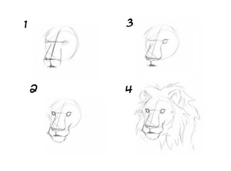 Пошаговый рисунок Льва