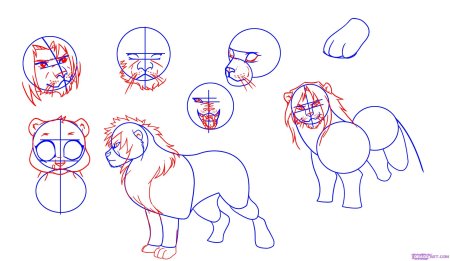 Как нарисовать Льва поэтапно