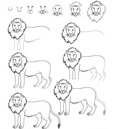 Поэтапное рисование обезьяны