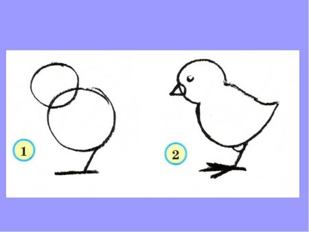 Рисование цыпленок