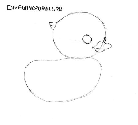 Цыпленок рисунок карандашом